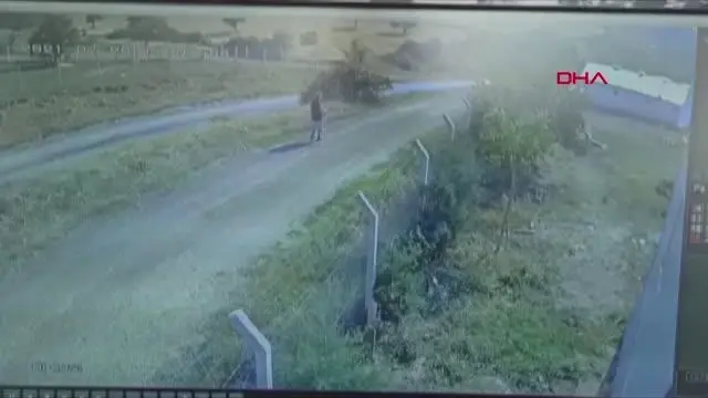Üniversiteli Onur kaçan kurbanlığın peşinden gitti, kayboldu (2) Üniversiteli Onur kaçan kurbanlığın peşinden gitti, kayboldu (2)
