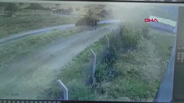 Üniversiteli Onur kaçan kurbanlığın peşinden gitti, kayboldu (2)
