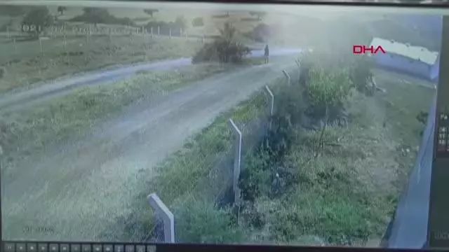 Üniversiteli Onur kaçan kurbanlığın peşinden gitti, kayboldu (2)