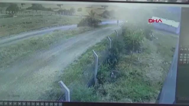 Üniversiteli Onur kaçan kurbanlığın peşinden gitti, kayboldu SON GÖRÜNTÜLERİ ORTAYA ÇIKTI