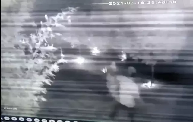 Ünlü mankene öldüresiye dayak kamerada