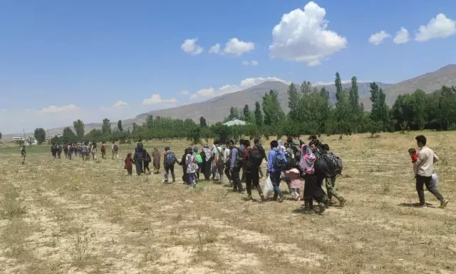 Yurda yasa dışı yollarla giren 80 yabancı uyruklu yakalandı Yurda yasa dışı yollarla giren 80 yabancı uyruklu yakalandı
