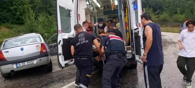 Virajı alamayan otomobil karşı şeride geçerek kamyonete çarptı: 5 yaralı Virajı alamayan otomobil karşı şeride geçerek kamyonete çarptı: 5 yaralı