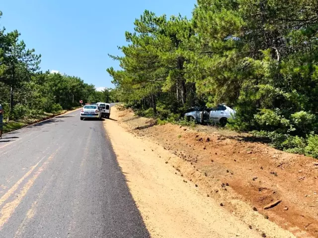 Yoldan çıkan otomobil ağaca çarptı, araçtaki çift yaralandı