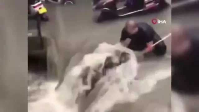 Son dakika haber | Çin'deki sel felaketinin bilançosu artıyor: Can kaybı 51'e yükseldiYaklaşık 400 bin kişi güvenli bölgelere taşındı