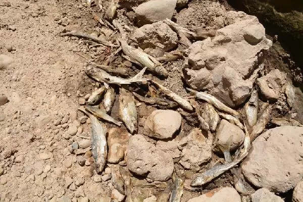 CUDİ DAĞI'NDAN DOĞAN BAZAMİR DERESİ KURUDU