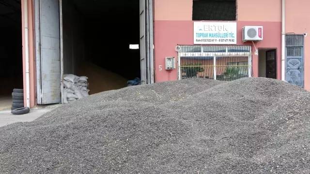 Çukurova'da ayçiçek tarlasında çifte bayram