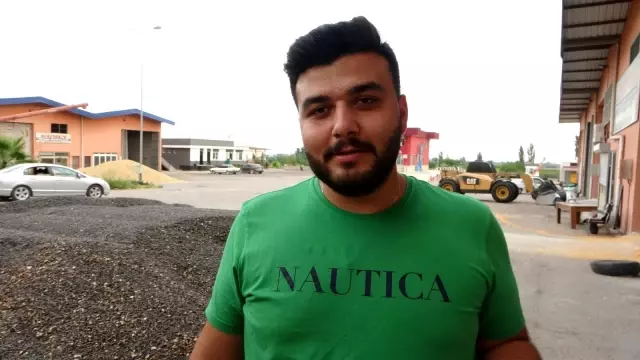 Çukurova'da ayçiçek tarlasında çifte bayram