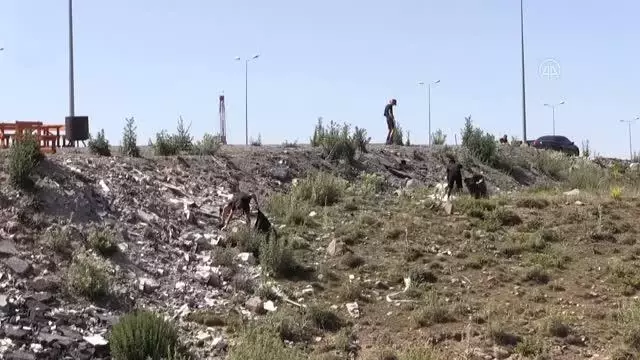 Kamp için Kayseri'ye gelen ABD'li bisikletçiler Erciyes'te çöp topladı