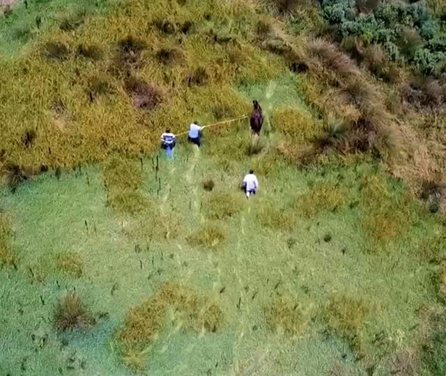 kesilmekten son anda kurtuldu drone den kacam 3 14284386 o