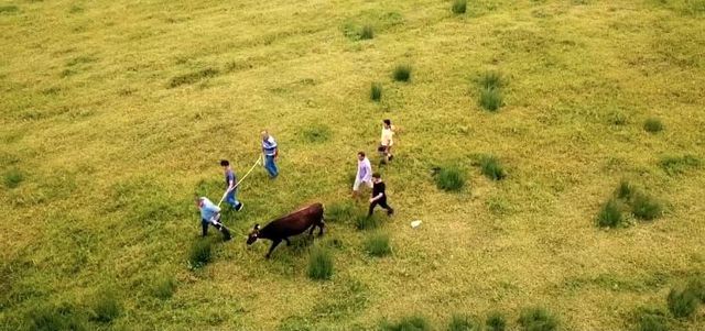 kesilmekten son anda kurtuldu drone den kacam 4 14284386 o