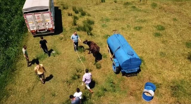 kesilmekten son anda kurtuldu drone den kacam 5 14284386 o