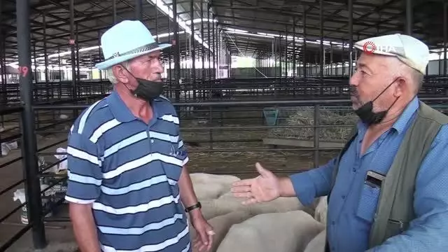 Kurban pazarında fiyatlar yarı yarı düştü