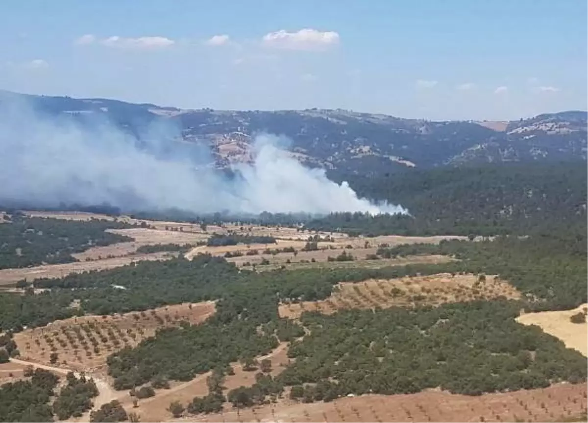 Son dakika haberi! Manisa'da orman yangını; 1 hektar alan zarar gördü