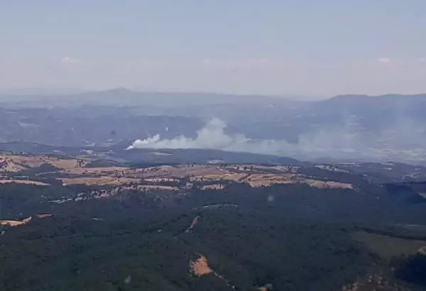 Son dakika haberi! Manisa'da orman yangını; 1 hektar alan zarar gördü