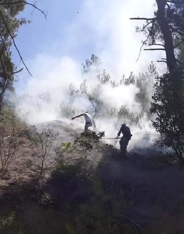 Son dakika haberi! Manisa'da orman yangını; 1 hektar alan zarar gördü