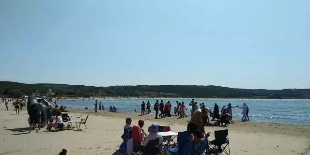 Mudanya'daki bazı plajlarda denize girilmesine izin verilmiyor