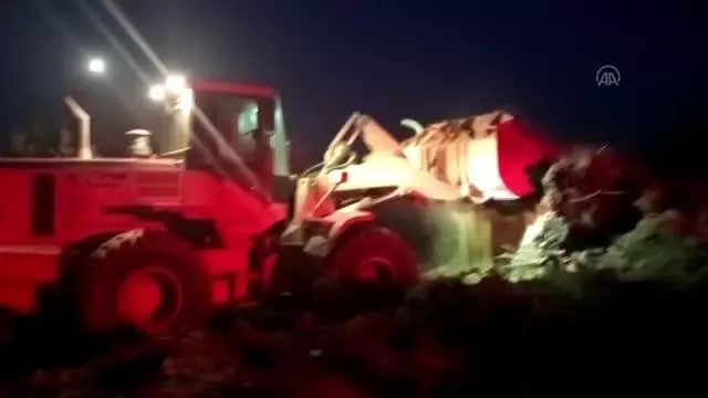 Ödemiş'teki yangında anıt zeytin ağaçları da zarar gördü