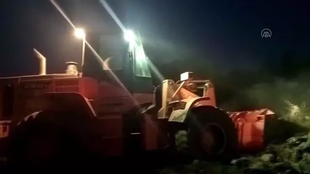 Ödemiş'teki yangında anıt zeytin ağaçları da zarar gördü