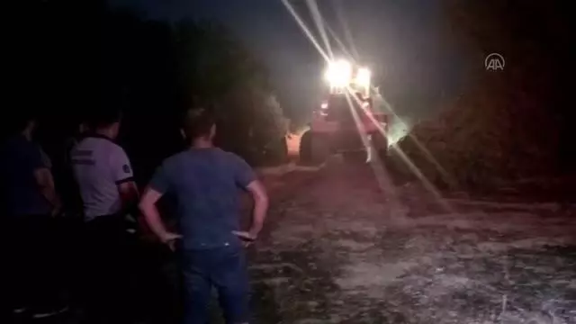 Ödemiş'teki yangında anıt zeytin ağaçları da zarar gördü