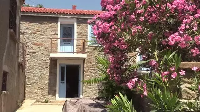 ÇANAKKALE - Türkiye'nin en büyük adası sağlıklı beslenmeyi tercih edenlerin yeni adresi olacak
