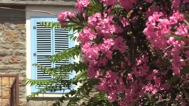 ÇANAKKALE - Türkiye'nin en büyük adası sağlıklı beslenmeyi tercih edenlerin yeni adresi olacak