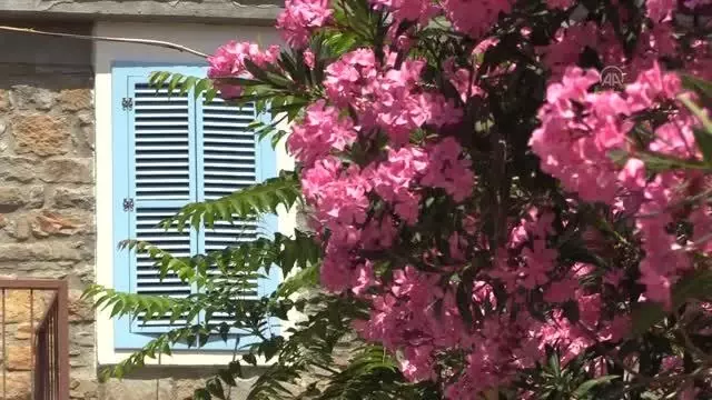 ÇANAKKALE - Türkiye'nin en büyük adası sağlıklı beslenmeyi tercih edenlerin yeni adresi olacak