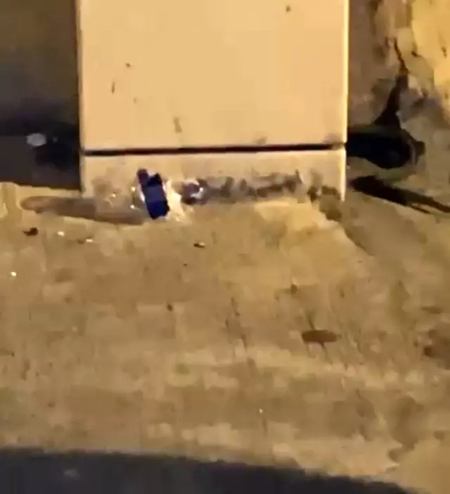 İstanbul'un göbeğinde yılan paniği
