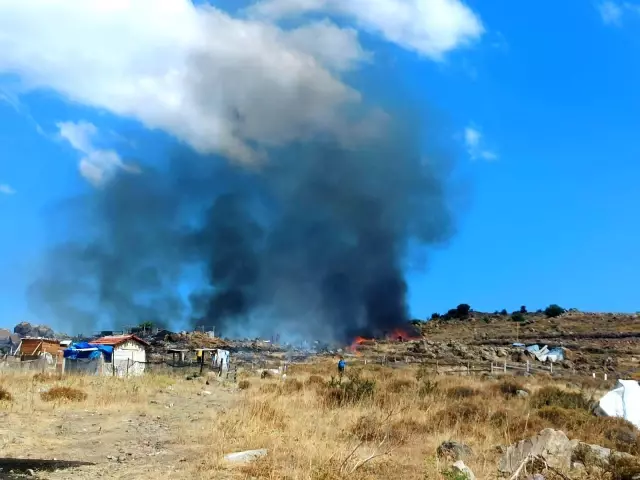 İzmarit yangını 18 dönümlük araziyi küle çevirdi