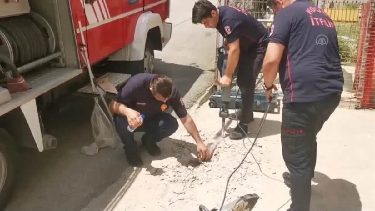Kafası demir boruya sıkışan kediyi itfaiye kurtardı