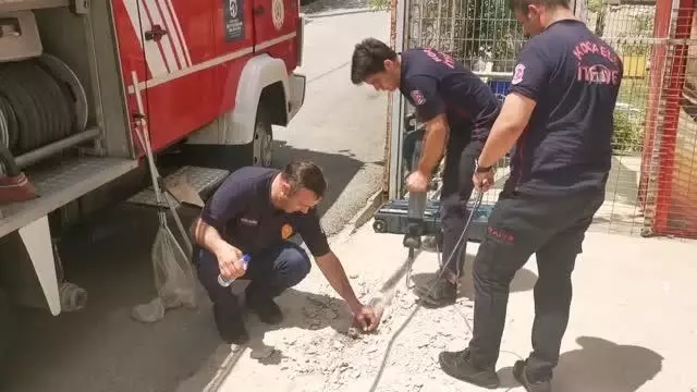 Kafası demir boruya sıkışan kediyi itfaiye kurtardı