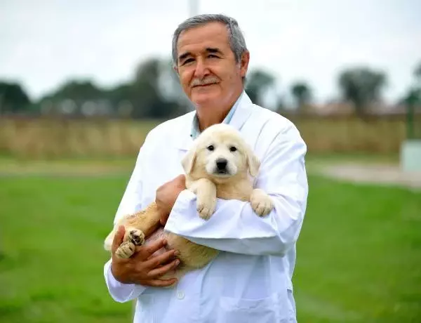 KANGAL VE AKBAŞLARI ALMAK İÇİN 1 YILLIK SIRAYA GİRİYORLAR