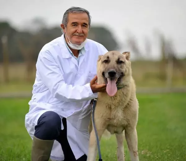 KANGAL VE AKBAŞLARI ALMAK İÇİN 1 YILLIK SIRAYA GİRİYORLAR