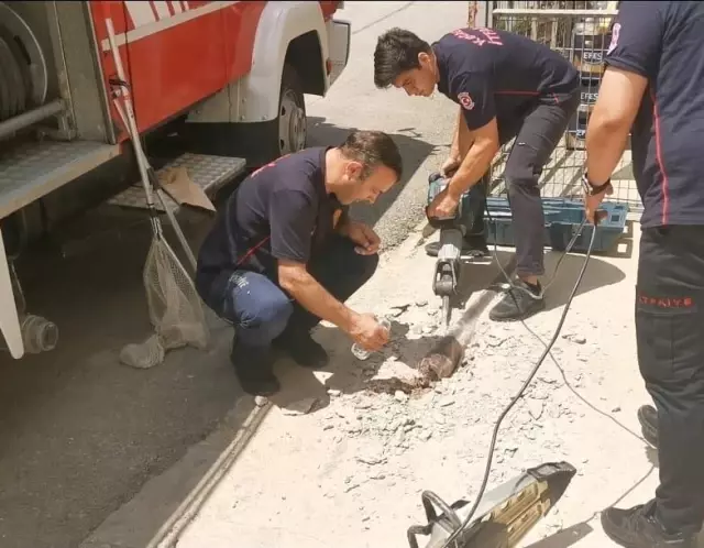 Kafası demir boruya sıkışan kediyi itfaiye kurtardı