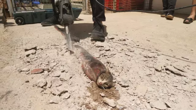Kafası demir boruya sıkışan kediyi itfaiye kurtardı