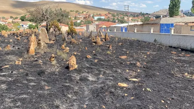 Köy mezarlığı çıkan yangında küle döndü