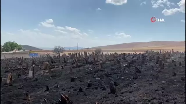 Köy mezarlığı çıkan yangında küle döndü