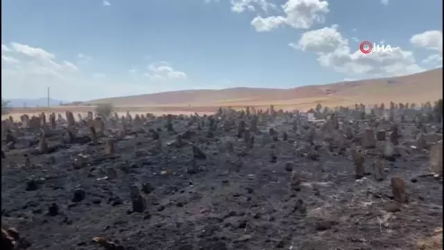 Köy mezarlığı çıkan yangında küle döndü