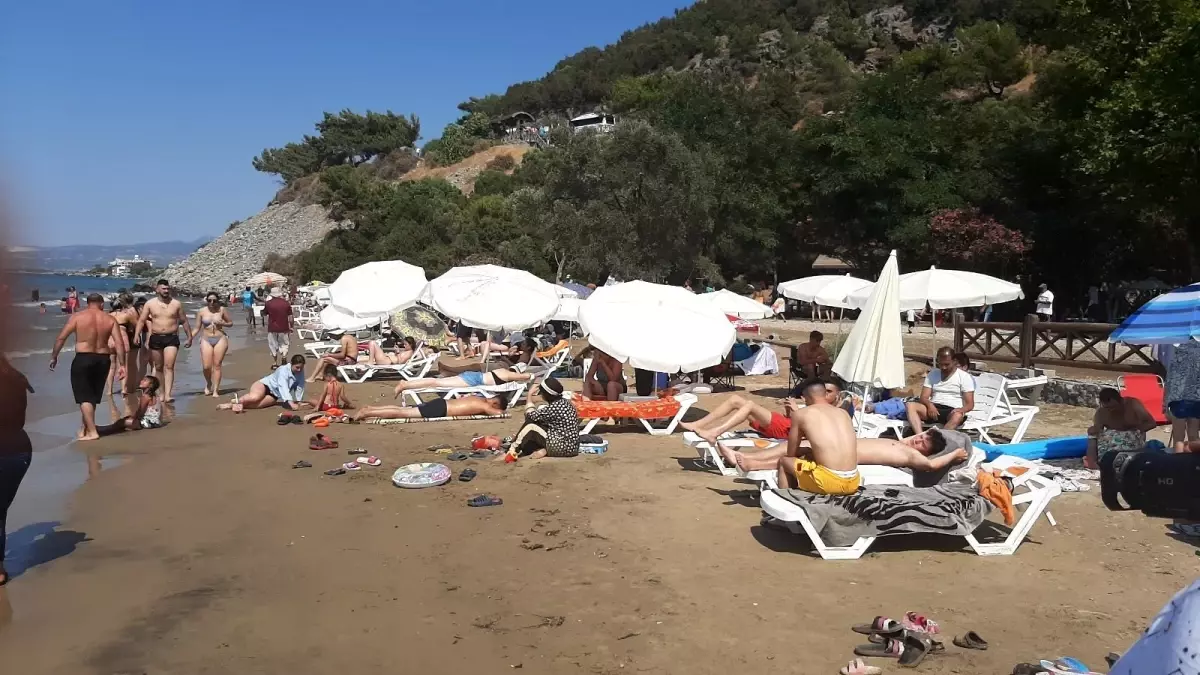 Kusadasi Milli Park Indaki Sezlong Ve Semsiye Fiyatlari Tepki Cekti Bu Kadar Da Olmaz Yaziktir Gunahtir Haberler