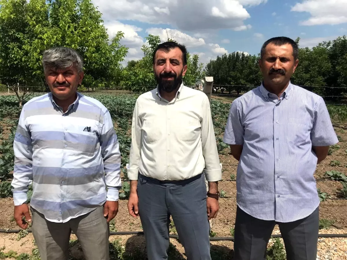 Oda başkanlarından 71 Evler Pazarı iddialarına yanıt