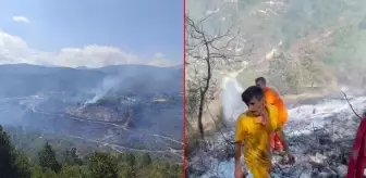 Suriye tarafında çıkan orman yangını Türkiye'ye sıçradı