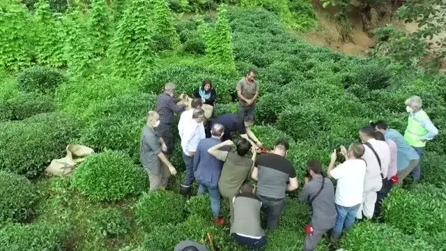 Bakan Pakdemirli, afet bölgesinde incelemelerde bulundu