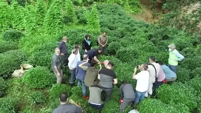 Bakan Pakdemirli, afet bölgesinde incelemelerde bulundu