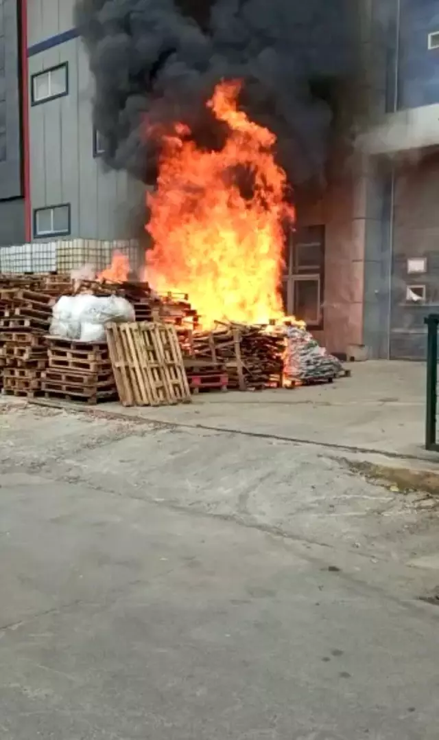 Son dakika haber | Tuzla'da kozmetik fabrikasında yangın çıktı