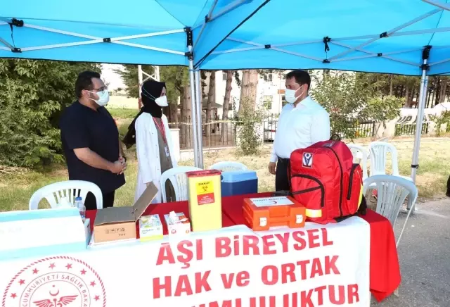 Amasya aşı haritasında 'Mavi' renkte