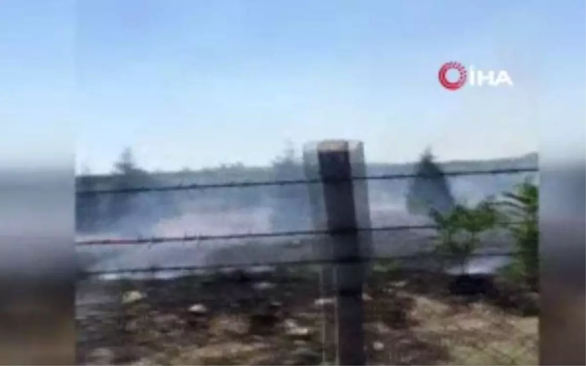 Atatürk Orman Çiftliği'nde söndürme çalışmaları devam ediyor