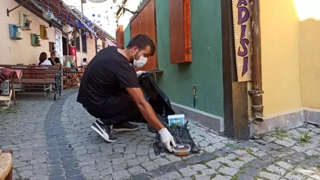 Eskişehir'de kedi vahşeti