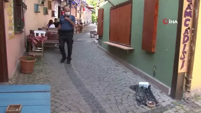 Eskişehir'de kedi vahşeti