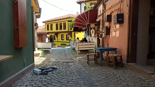 Eskişehir'de kedi vahşeti