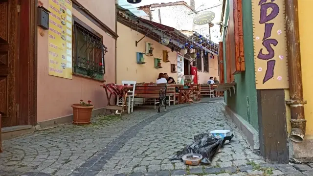 Eskişehir'de kedi vahşeti